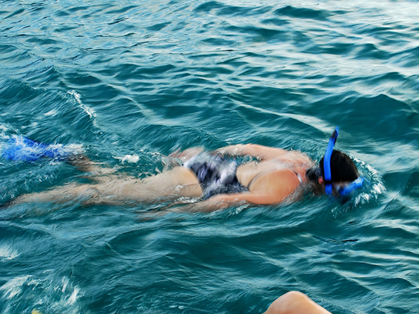 Snorkeling in the Beautiful Beaches of Manuel Antonio